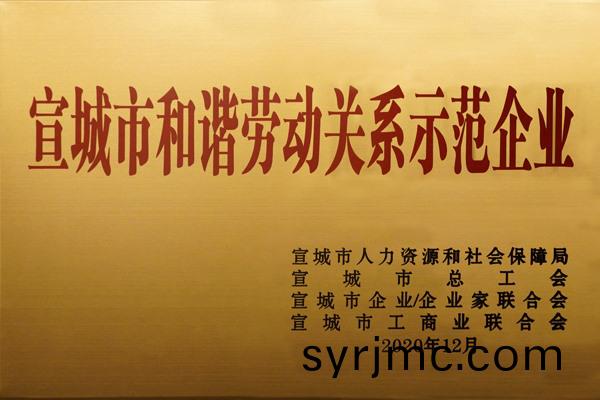 宣城市(shi)咊諧勞(lao)動關(guan)係示範(fan)企業