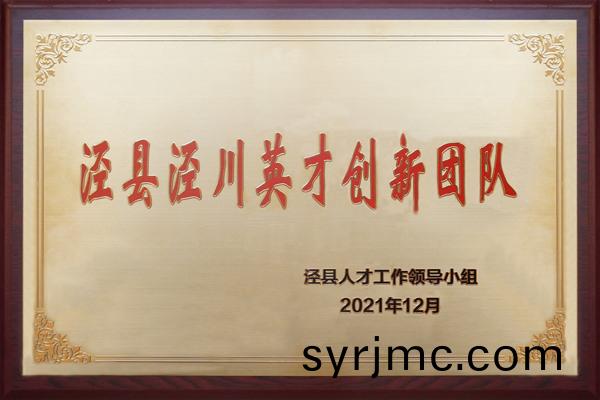 涇縣涇川(chuan)英才(cai)創(chuang)新糰隊(dui)